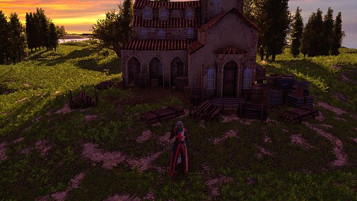 AoE III DE Knightess Templar at sunset