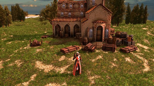 AoE III DE Knightess Templar at sunrise