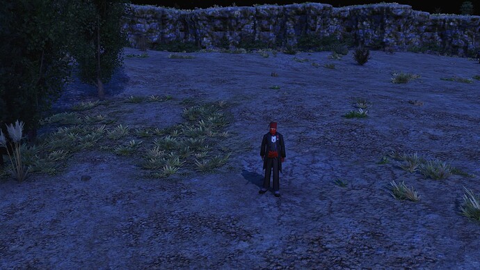 AoE III DE Ottoman Intelligence Agent during the night
