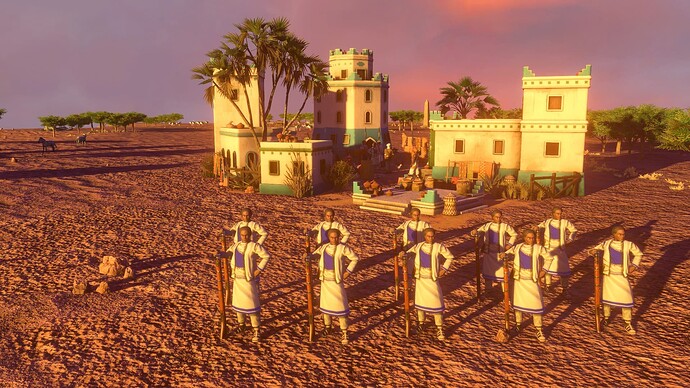 AoE III DE Somali Darood Militia at sunset