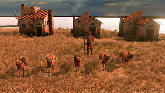 AoE III DE Spanish War Dogs and their Master at sunrise