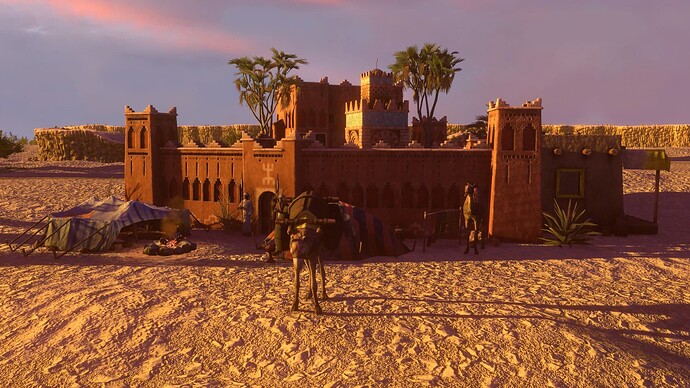 AoE III DE Berber Salt Camel at sunset