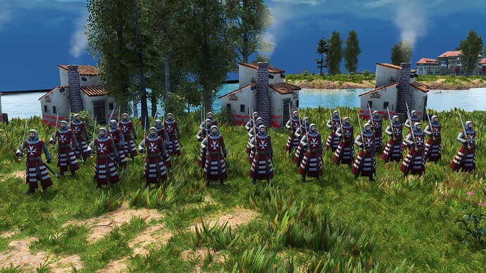 AoE III DE Maltese Veteran Hospitaller during the day