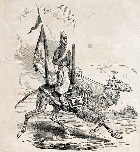 persian-camel-artillery-man-CWRD9T