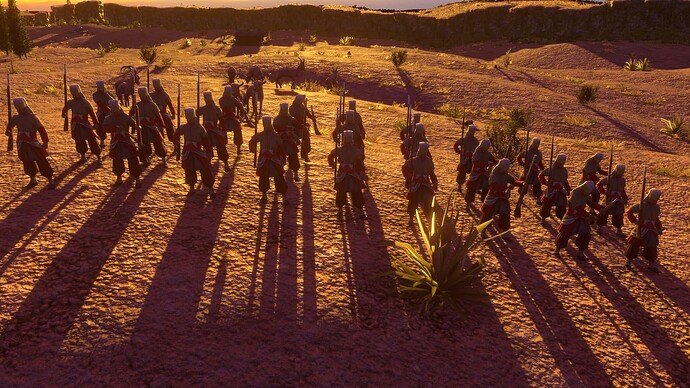 AoE III DE Ottoman Janissary at sunset