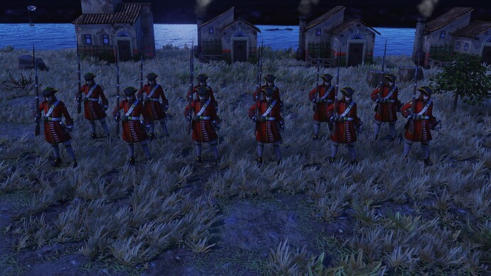 AoE III DE Spanish Wild Goose during the night