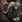 Musk ox aoe3de.png