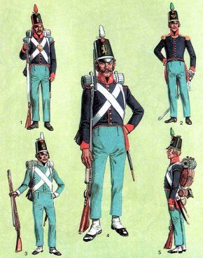 Spanish infantry napoleonic wars - Google 搜尋_2