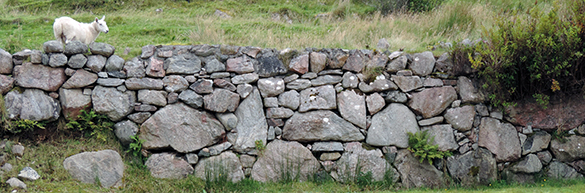 Dry-Stone-Walls-5