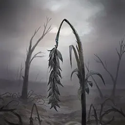 Wither