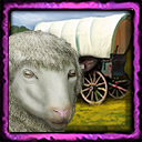 infinite_sheep