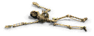 skel5