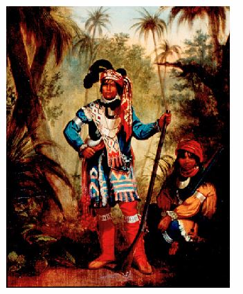 Seminole-1