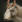 Saiga aoe3de.png