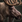 Moose aoe3de.png