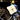 Tarantine Cavalry Chronicles