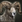 Bighorn sheep aoe3de.png