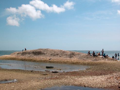 Shell Midden