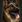 War dog aoe3de