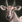 Nilgai aoe3de.png