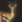 Gazelle portrait.png