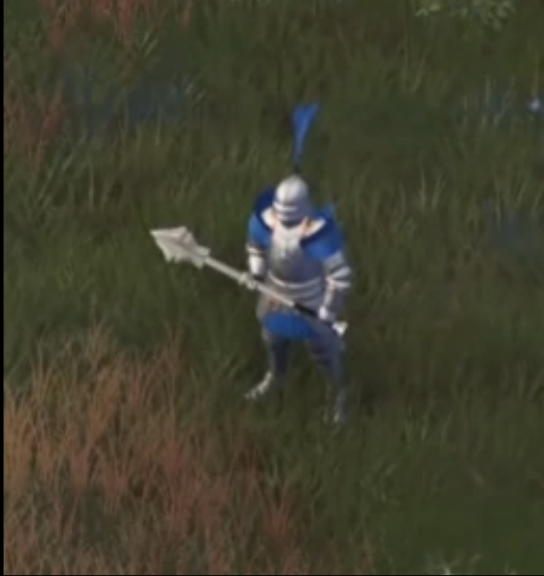 ビカクシダ P. Lemoinei no shield P. Lemoinei no shield