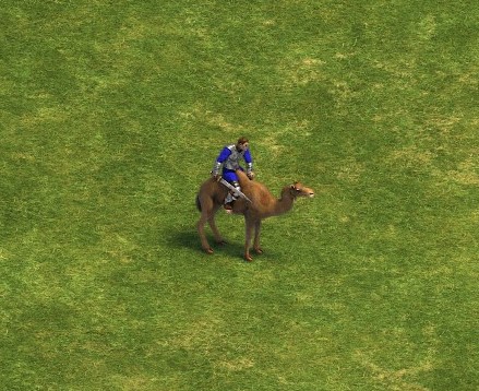 Aoe1_camel