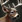 Deer aoe3de.png
