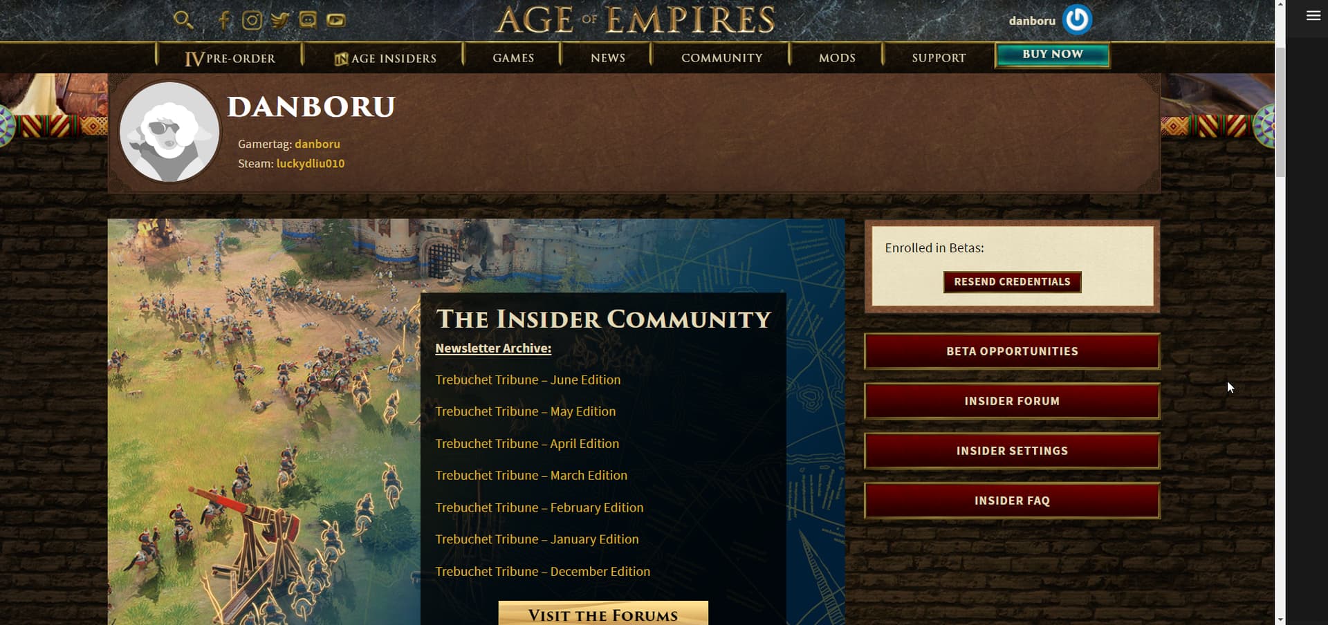 age of empires 4 beta