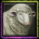 infinite_sheep