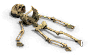 skel4