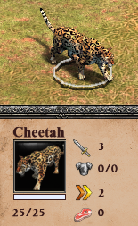 A cheetah... not.