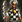 Plumed-spearman-icon-aoe3