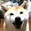 asukyTC