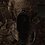 BShadowbane581