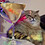 Catula