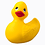 eggs1