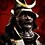 SteelRonin6687