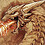 TyrannusRex