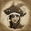 vasmar4595